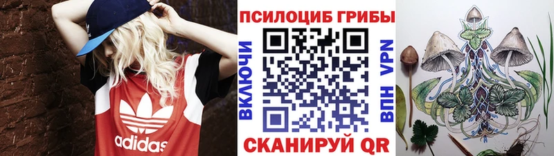 хочу наркоту  MEGA зеркало  Псилоцибиновые грибы ЛСД  Усть-Катав 